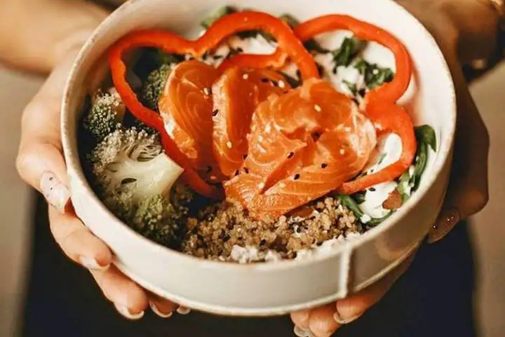 Bestes Futter für den Hund - Hundefutter bei 1x1 Hundetraining