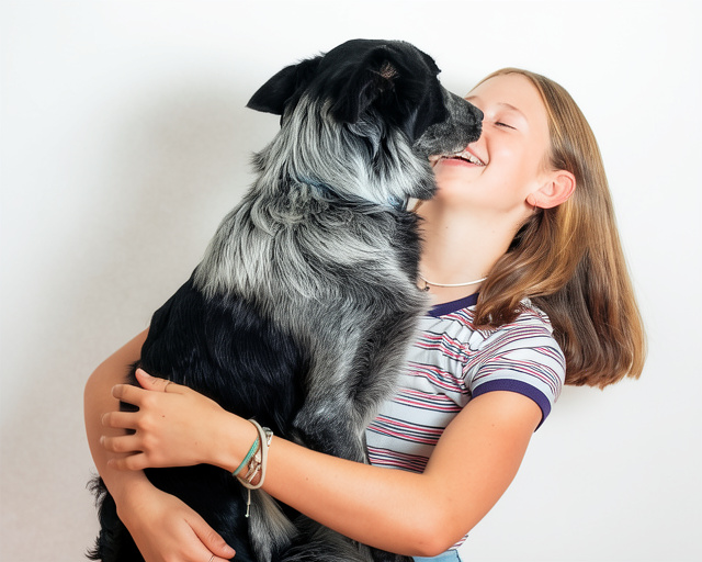 Natürliches 1x1 Training für Hunde mit Erfolg