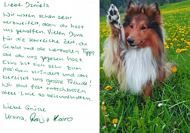 Wertvolle Hilfe bei der Hundeerziehung