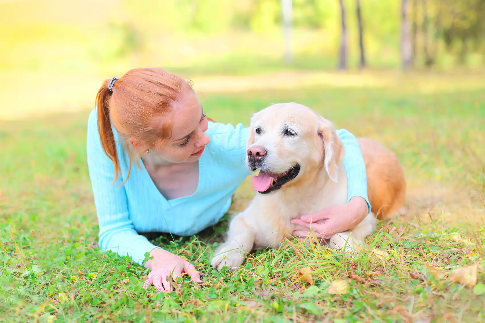 Beziehungsaufbau zwischen Mensch und Hund fördern